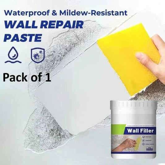Waterproof Mildew Resistant Wall Repair Paste 100 gm (Pack of 1)