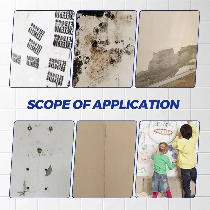 Waterproof Mildew Resistant Wall Repair Paste 100 gm (Pack of 1)