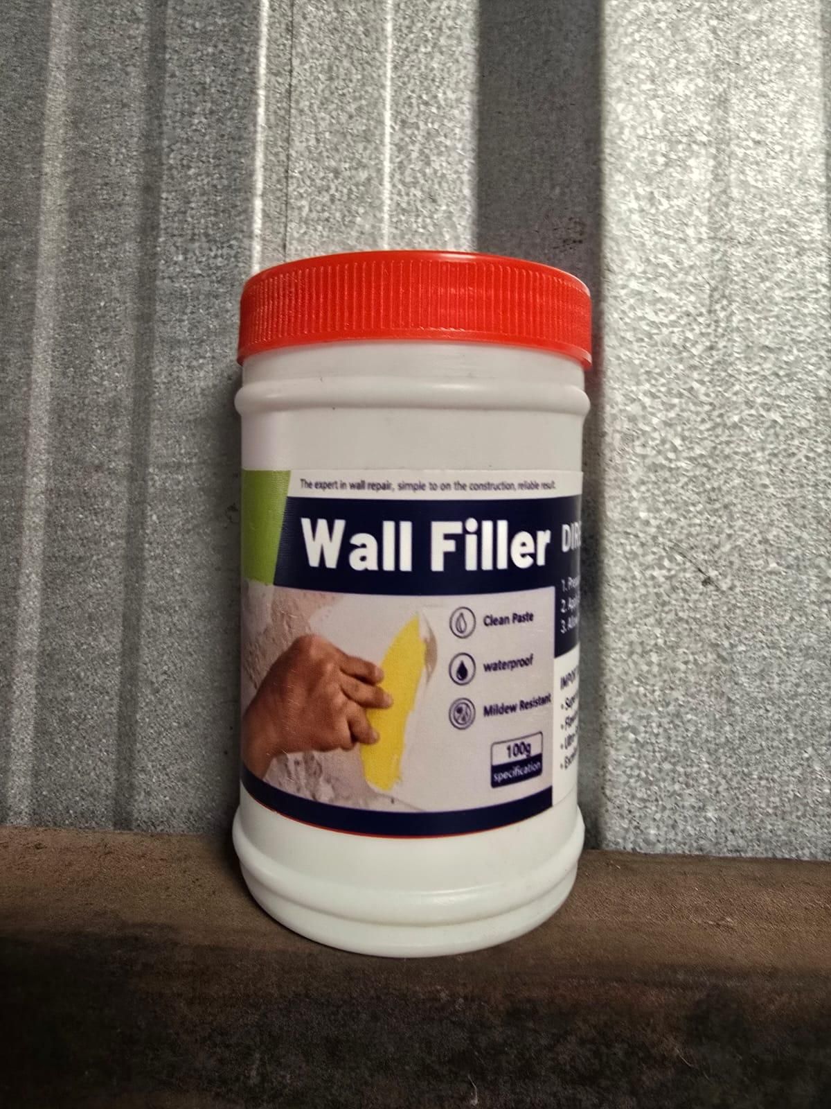 Waterproof Mildew Resistant Wall Repair Paste 100 gm (Pack of 1)